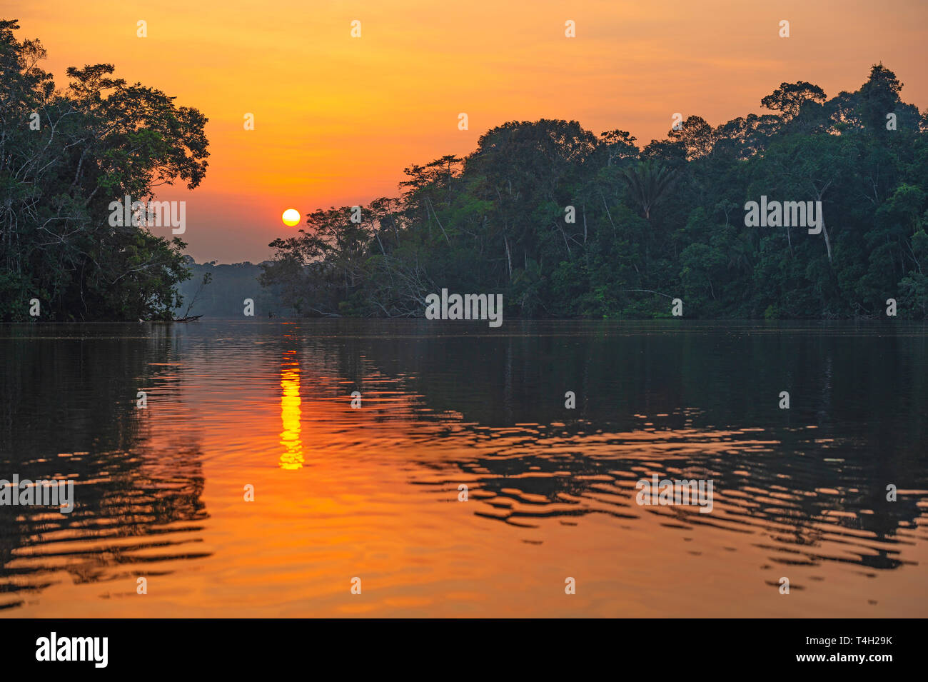 Coucher du soleil reflet dans le parc national Yasuní. Le bassin du fleuve Amazone est trouvé au Brésil, Bolivie, Colombie, Équateur, Guyana, Suriname, au Pérou et au Venezuela. Banque D'Images