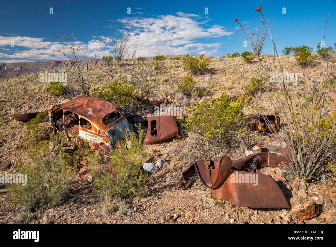 1940 Accident de voiture abandonnée au désert de Chihuahuan borderland, River Road, Big Bend National Park, Texas, États-Unis Banque D'Images