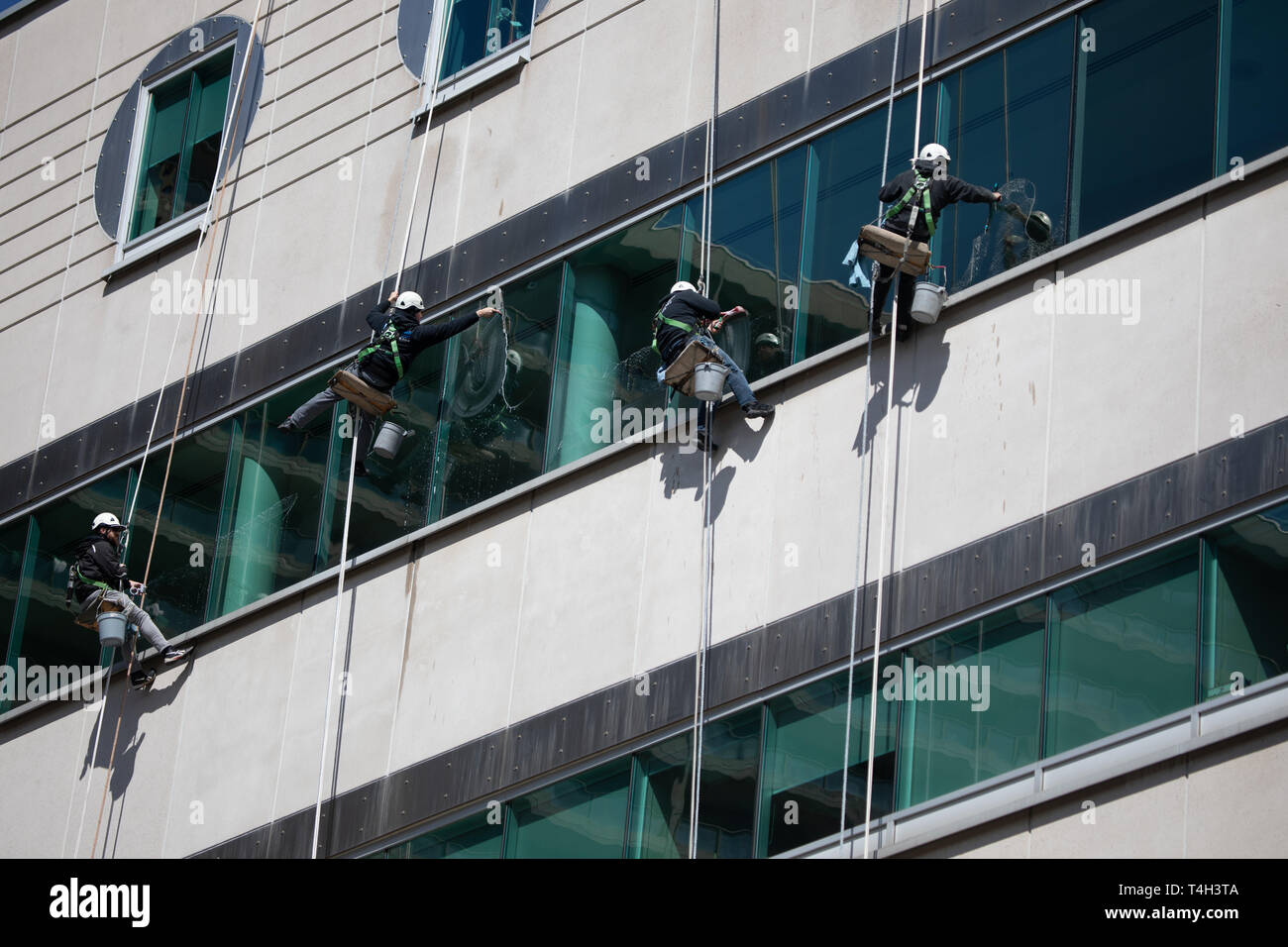 Métier dangereux Blue Collar Dangling Rope les laveurs de vitres d'extérieur de bâtiment suspendu Banque D'Images