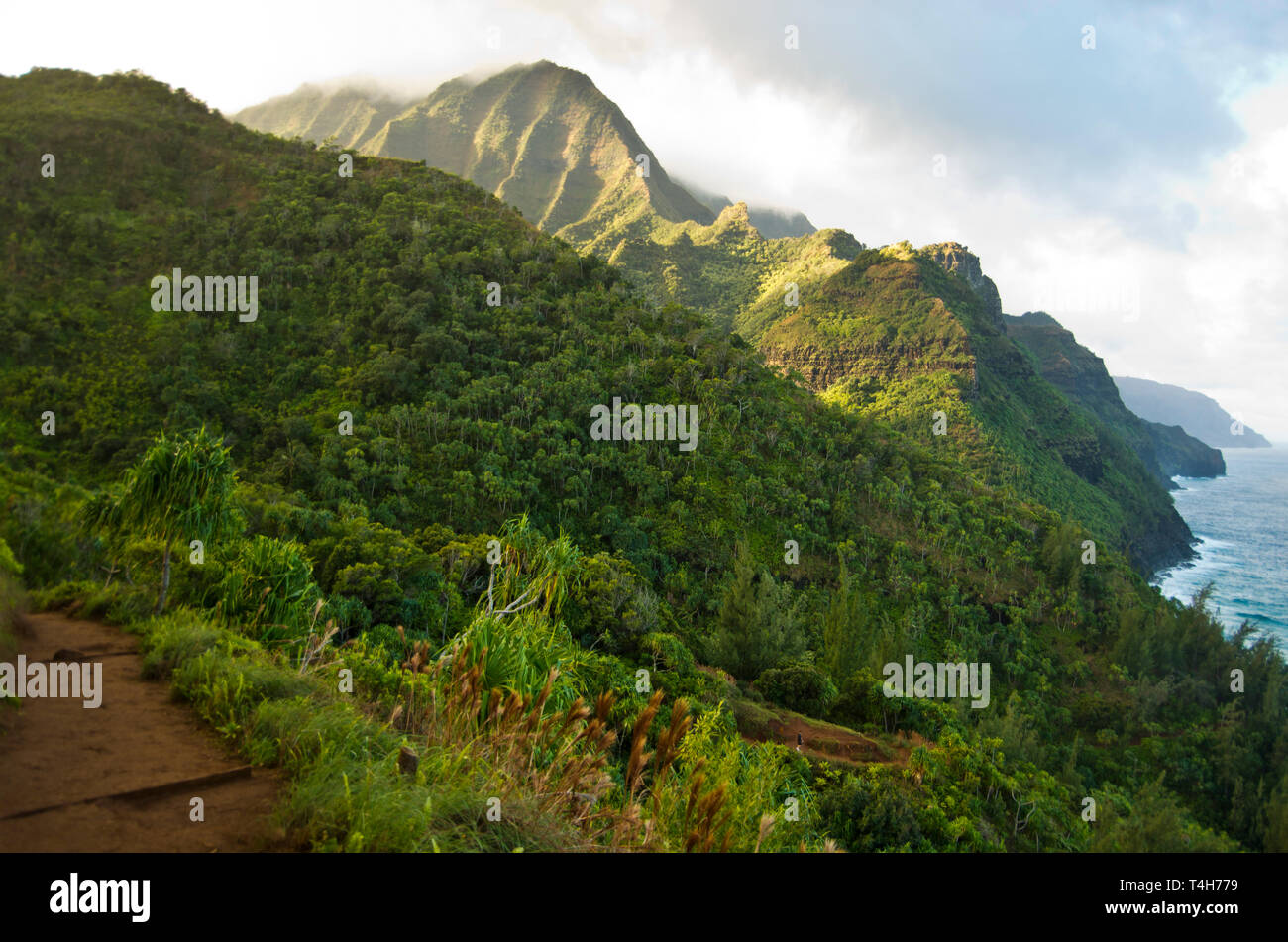 Kalalau trail, Côte de Na Pali, Kauai, Hawaii, USA Banque D'Images