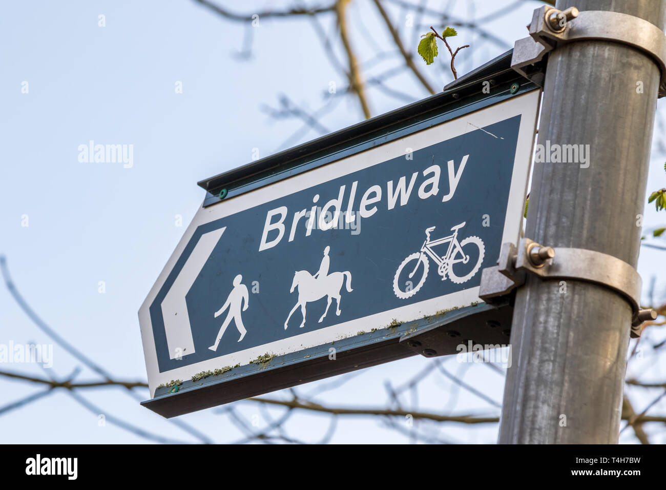Close up of Highways 'public' Bridleway signe sur poster en milieu rural, à la campagne. Droit de passage public pour tous sur à pied, à cheval et à vélo. Banque D'Images