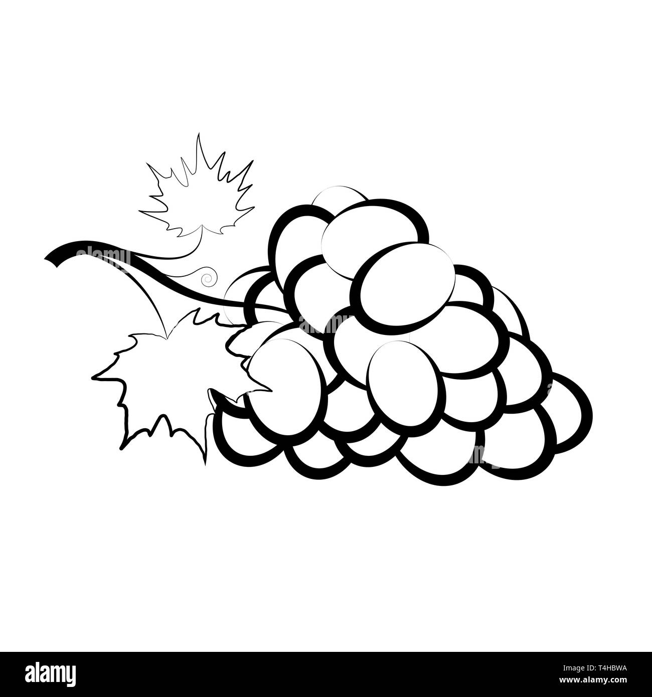 Grappe de raisins avec des feuilles se trouvant sur la table. Image en noir et blanc. Logo du vin ou de l'emblème. Illustration de Vecteur