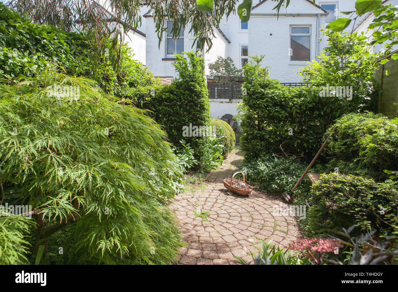 Un jardin anglais, Alverstoke, Gosport, Hampshire, Angleterre Banque D'Images