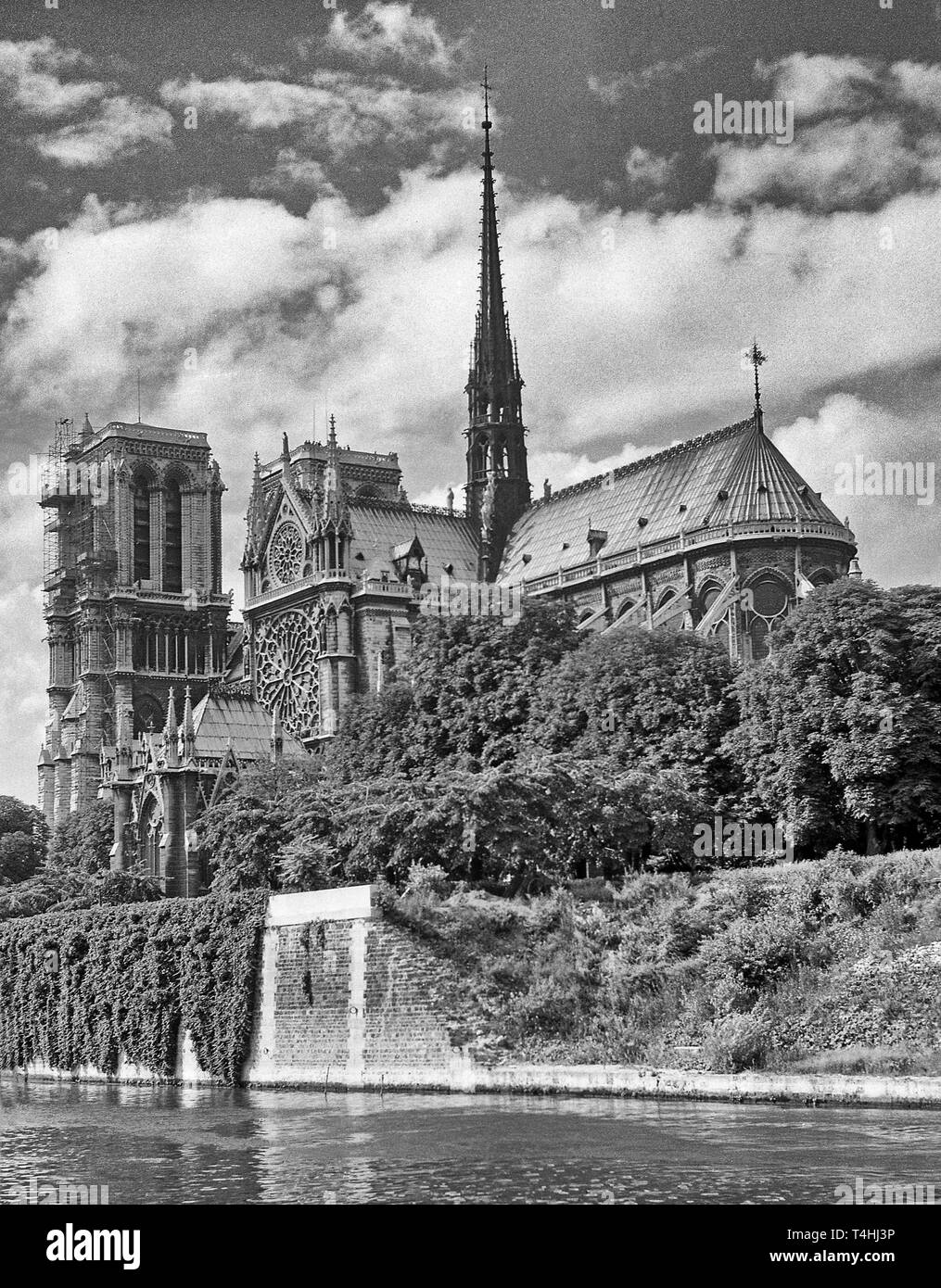 Cathédrale Notre Dame de Paris, France. File photo prise dans le milieu des années 1950 Banque D'Images