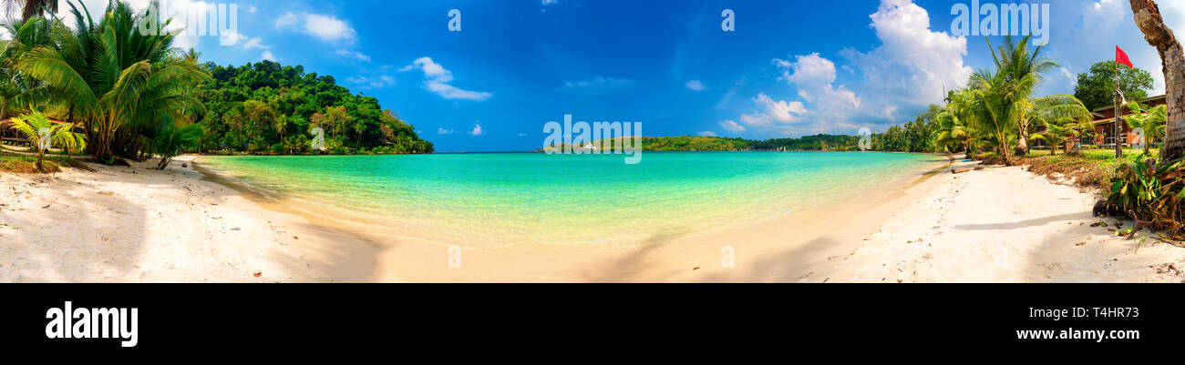 Nature paysage panoramique : le sable plage tropicale avec palmiers de noix de coco et l'eau de mer cristalline sur fond bleu ciel d'été Banque D'Images