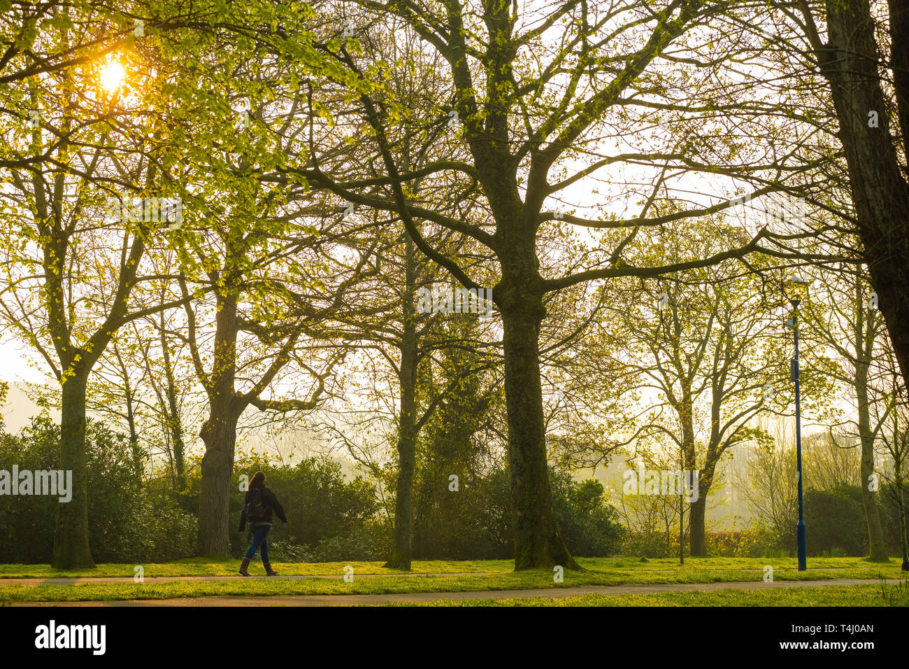 Pays de Galles Aberystwyth UK, le mercredi 17 avril 2019. Météo France : Les gens marcher dans le parc sur un matin de printemps chaud et ensoleillé à Aberystwyth au Pays de Galles, comme la météo est dirigée sur une amélioration de la voie que le pays attend avec intérêt l'Easter Bank Holiday weekend Crédit photo : Keith Morris/Alamy Live News Banque D'Images