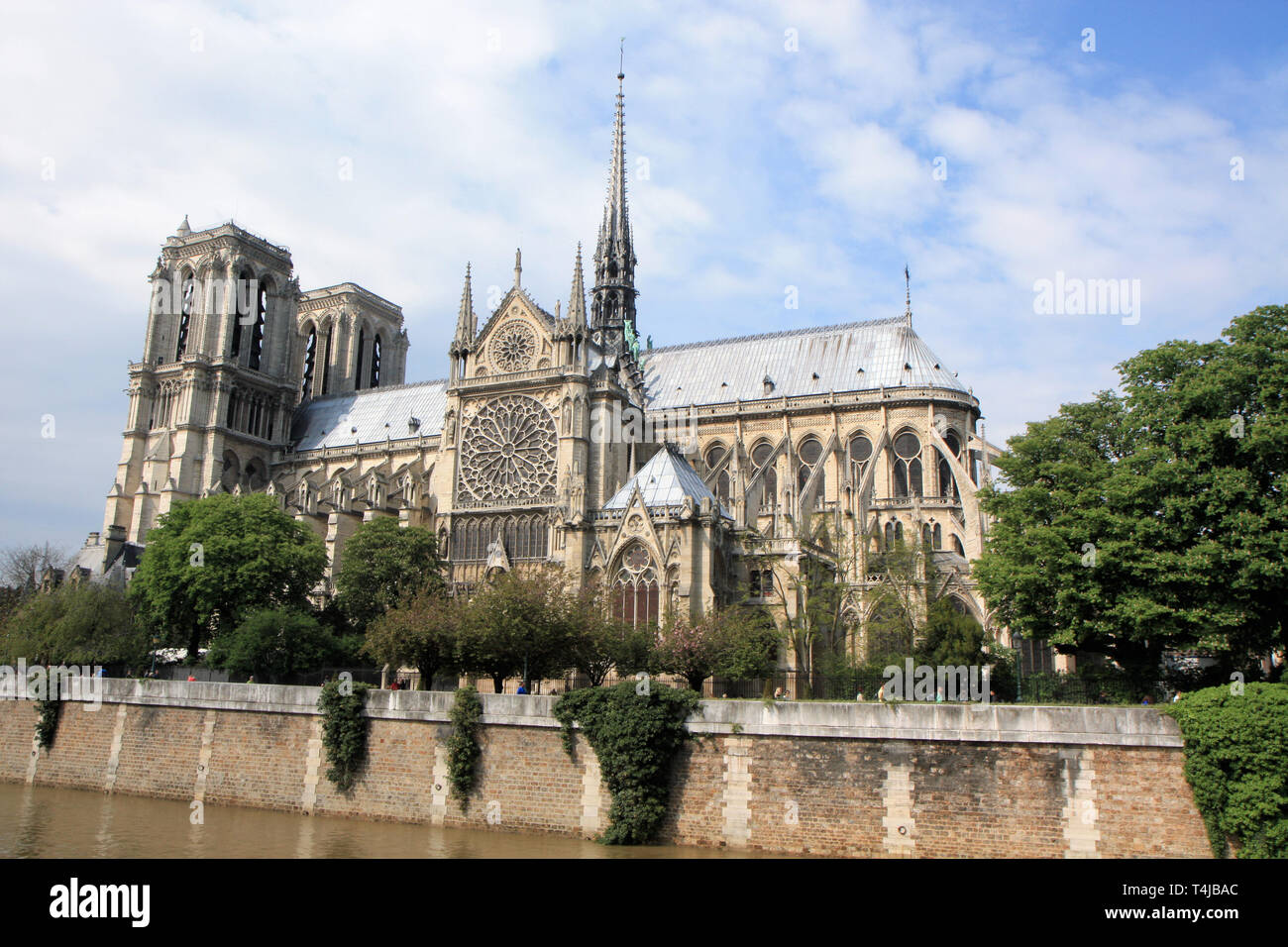 Vue grand angle de Notre Dame de Paris, France Banque D'Images