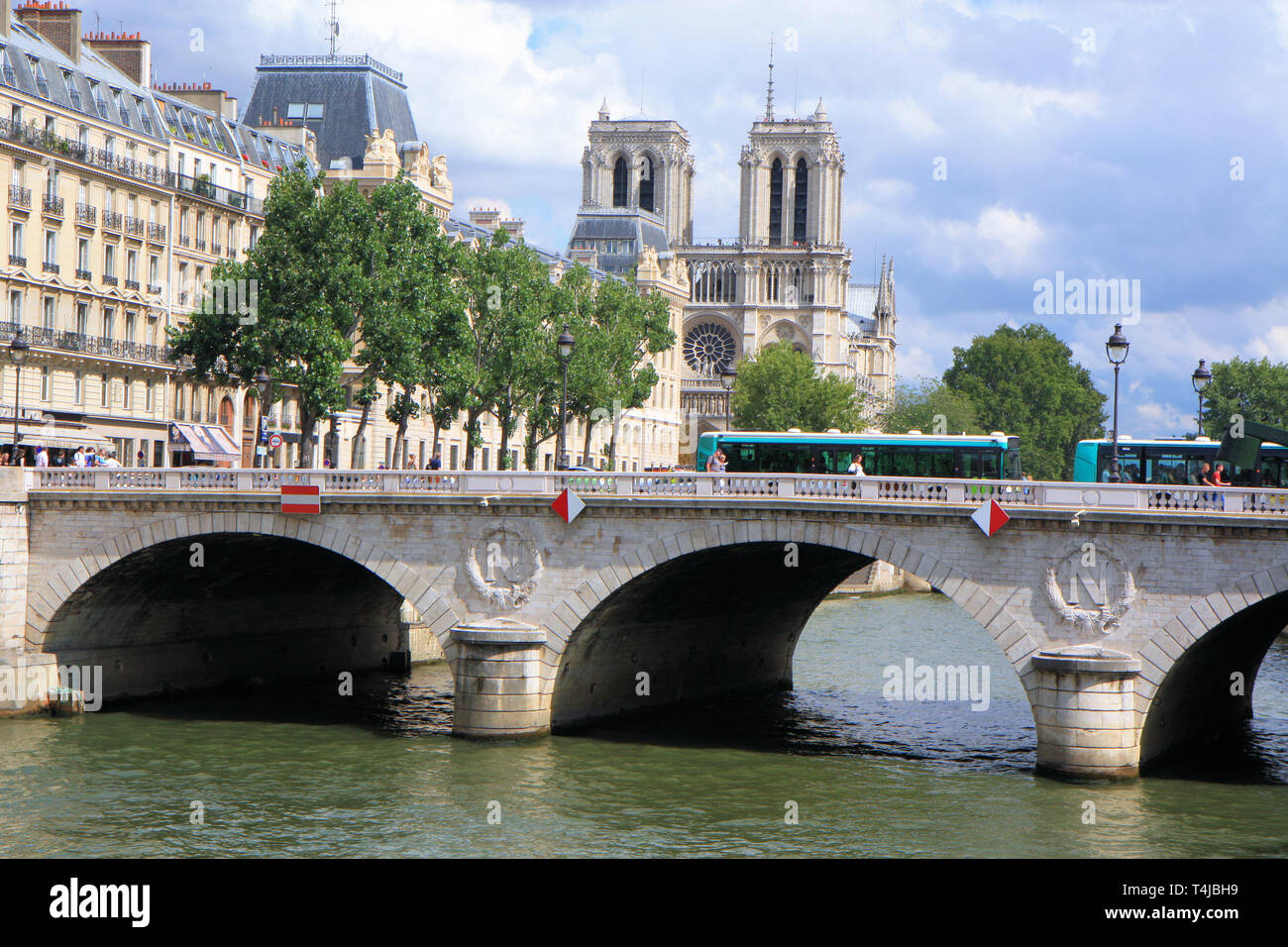 Vue grand angle de Notre Dame de Paris, France Banque D'Images