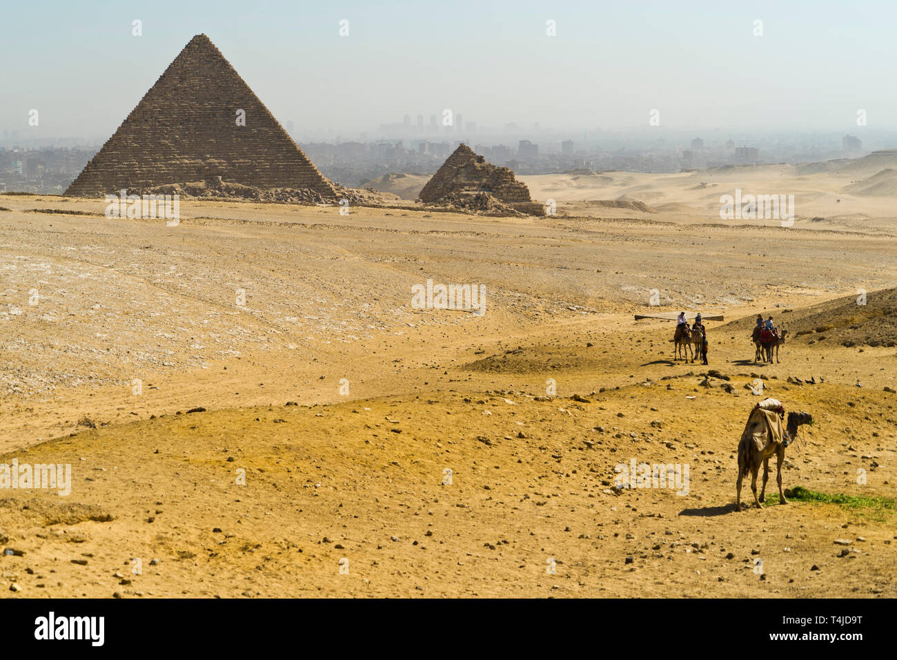 Pyramides de Gizeh, Le Caire, Egypte Banque D'Images