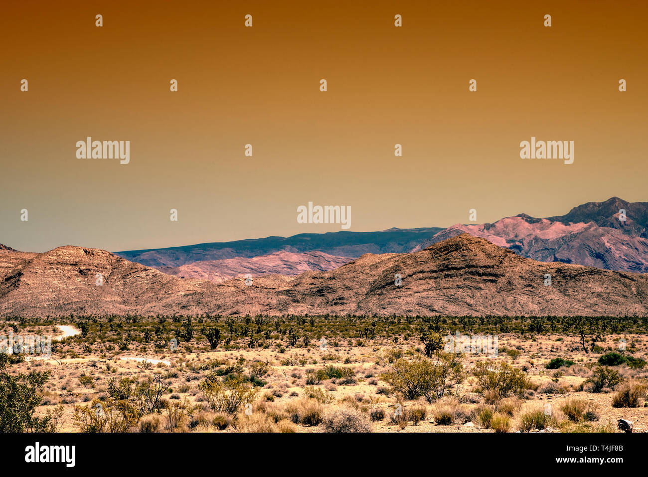Ciel du matin Orange plus de buissons et de cactus dans paysage désertique avec des Montagnes rocheuses dénudées au-delà. Banque D'Images