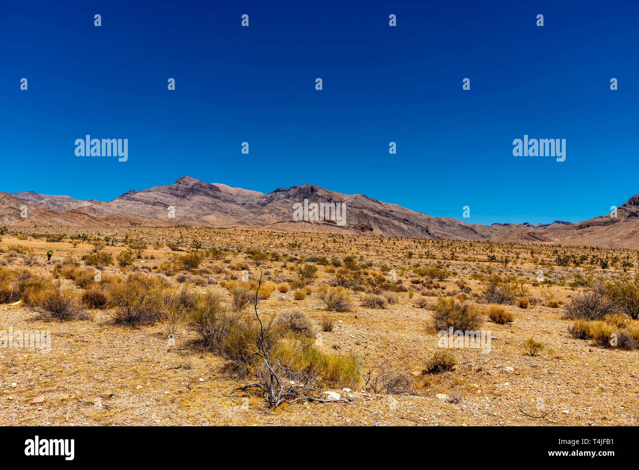 Jusqu'à Desert Hills et les montagnes sous un ciel bleu foncé. Banque D'Images