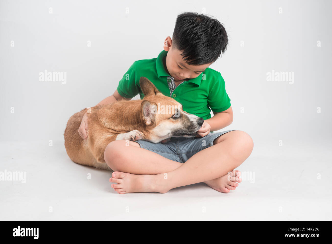 Cute little boy playing with dog at home Banque D'Images