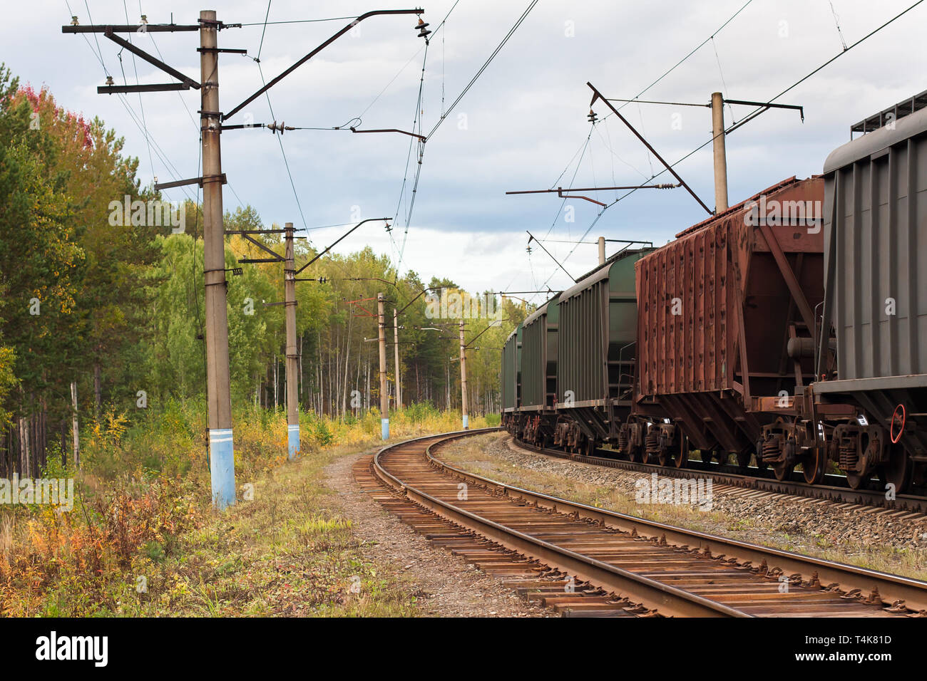 Promenades en train de marchandises sur la voie de chemin de fer dans la forêt d'automne Banque D'Images