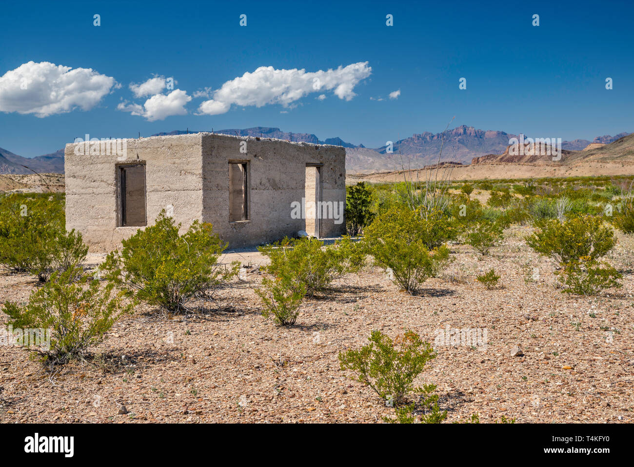 Bâtiment en béton mineurs, ruine, de maquis dans les montagnes Chiso, distance du chemin River, Désert de Chihuahuan, Big Bend National Park, Texas, États-Unis Banque D'Images