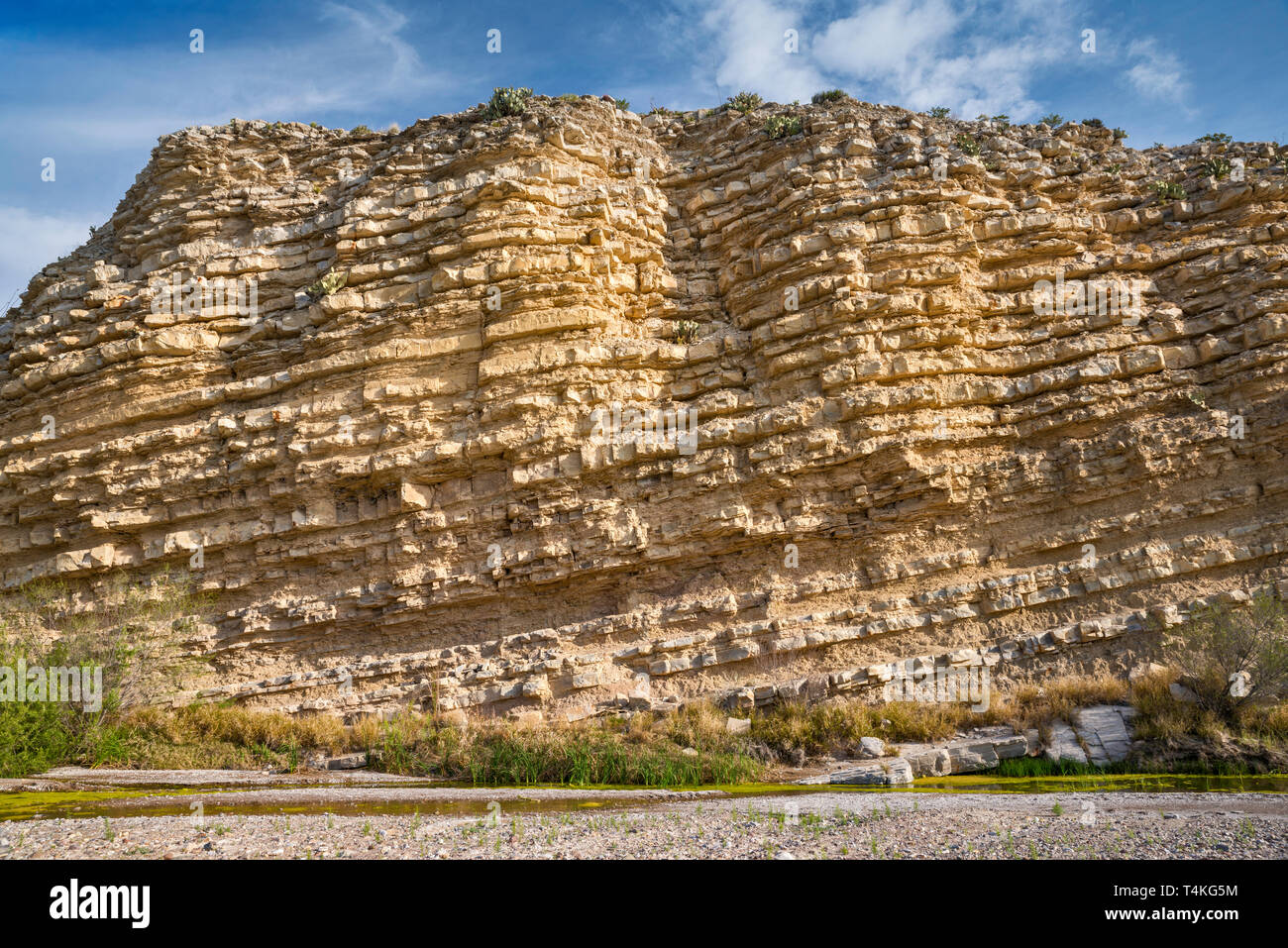 Les couches de schiste et calcaire de Boquillas Formation au-dessus de petit ruisseau près de sources chaudes, Big Bend National Park, Texas, États-Unis Banque D'Images