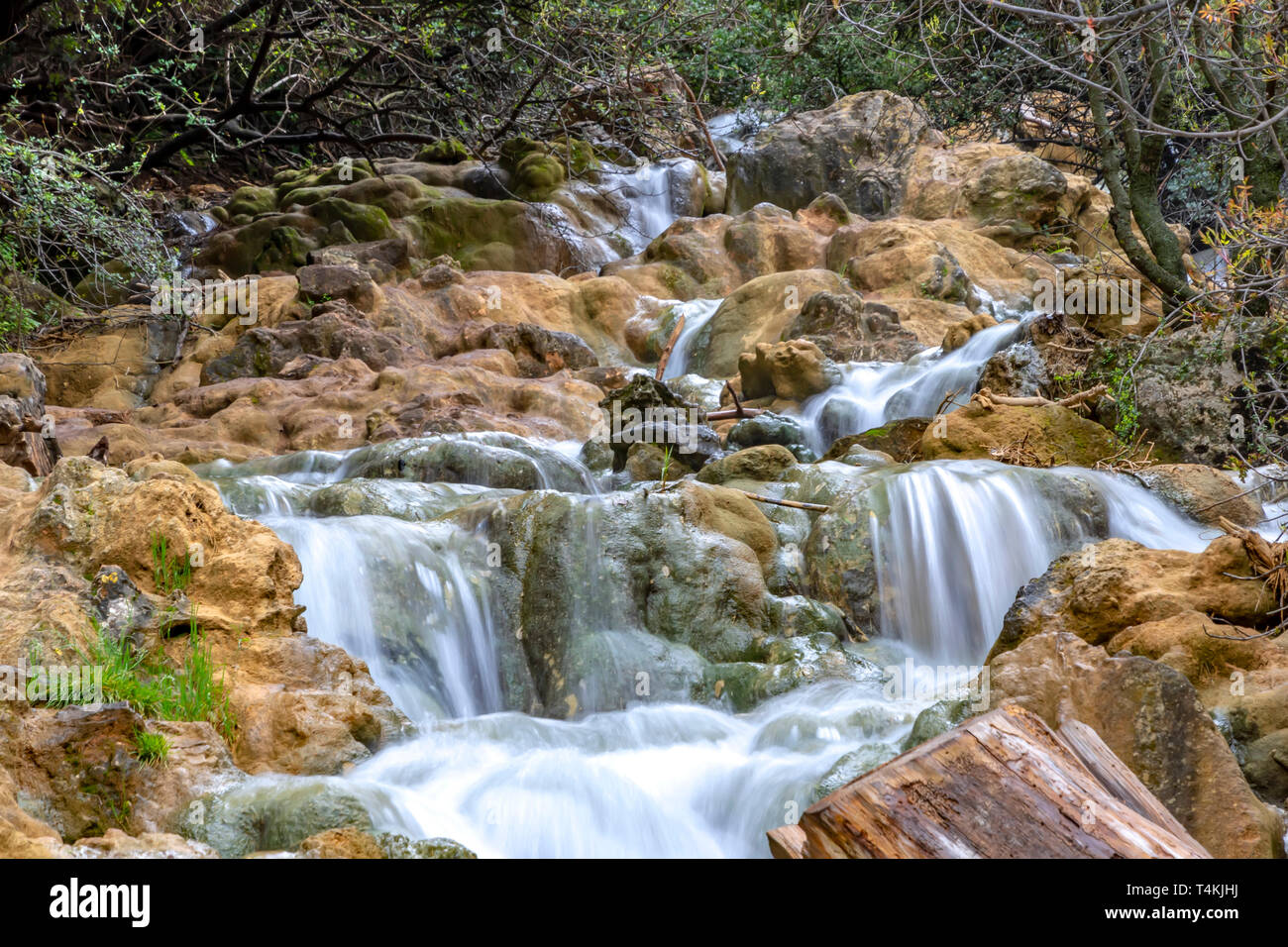Les petites cascades de chutes sur un ruisseau de montagne au printemps. Parod River. Israël. Paysage Banque D'Images