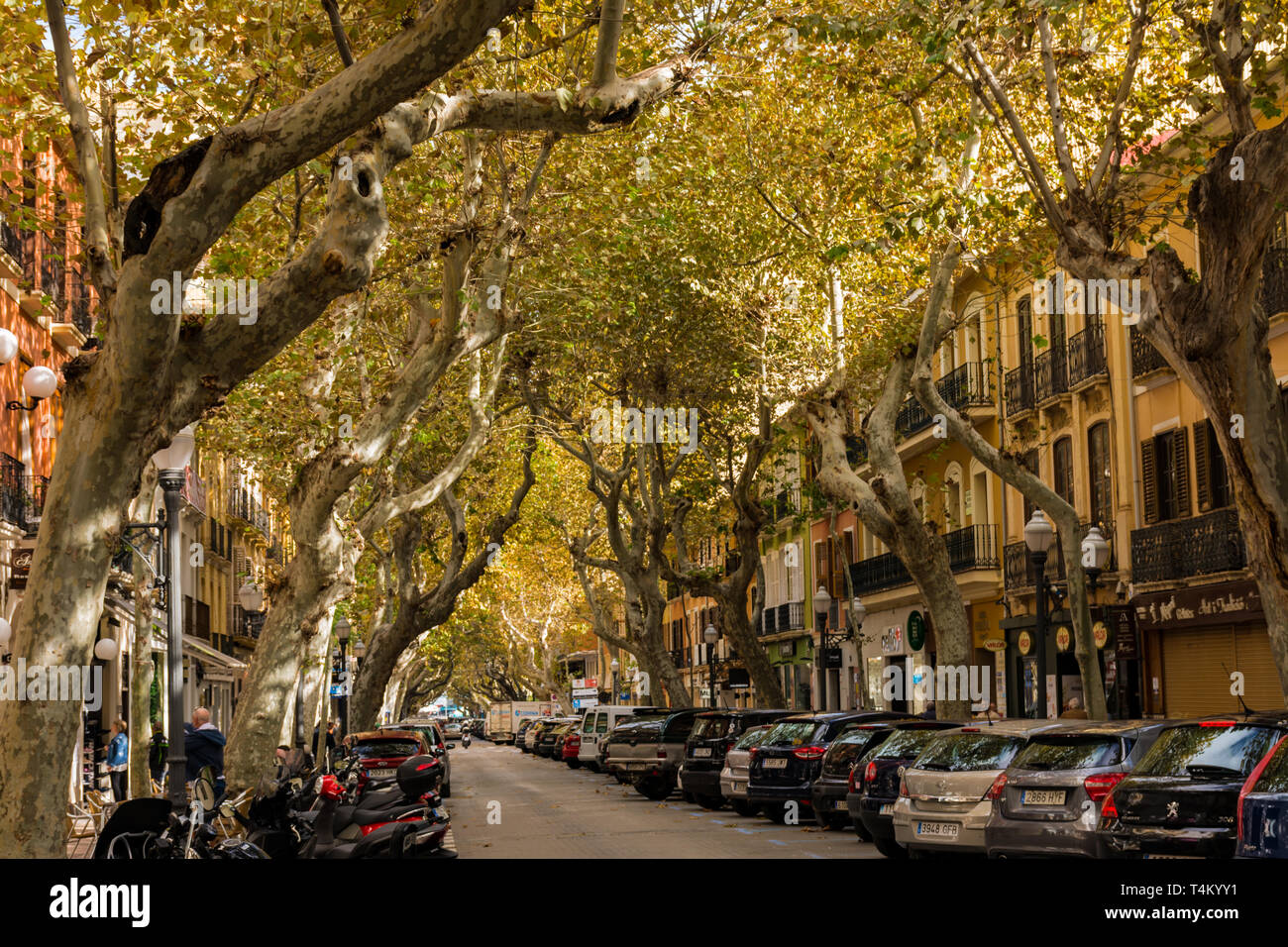 Dénia, Alicante, Espagne, le 21 novembre 2018 : Marques de Campo Street, rue principale. La rue commerciale Banque D'Images