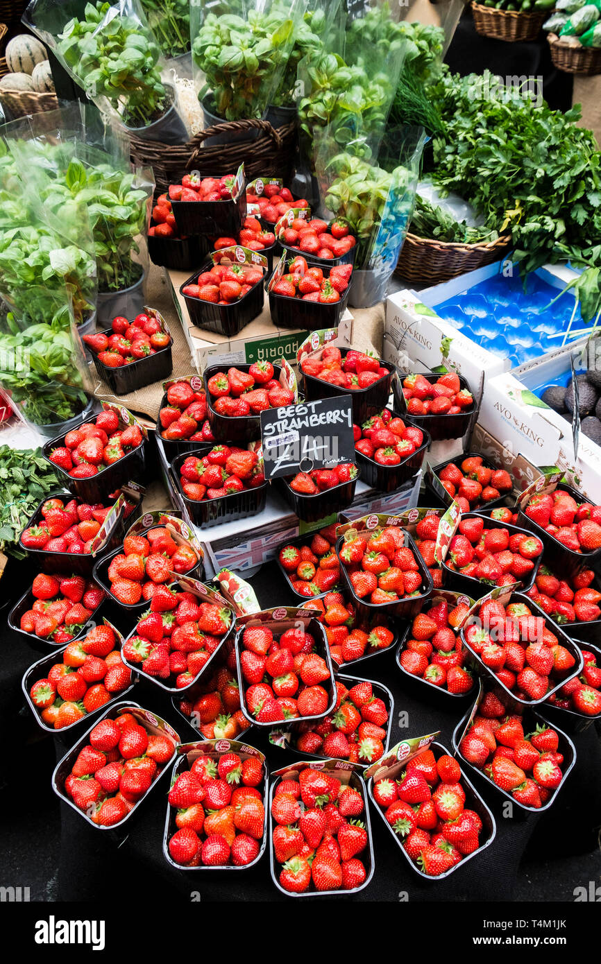 Barquettes de fraises fraîches en vente à Borough Market à Londres. Banque D'Images