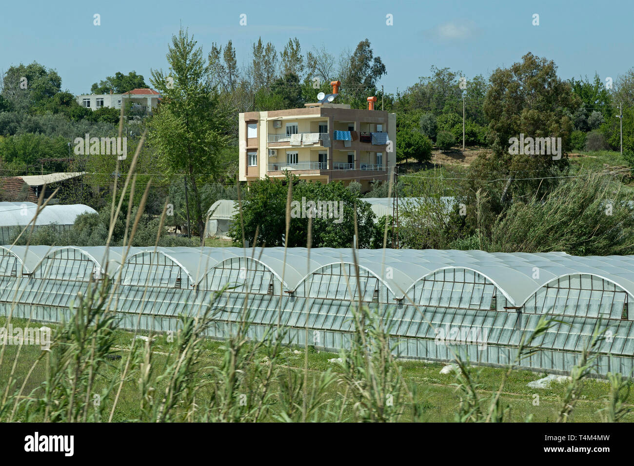 Les serres, Province Antalya, Turquie Banque D'Images