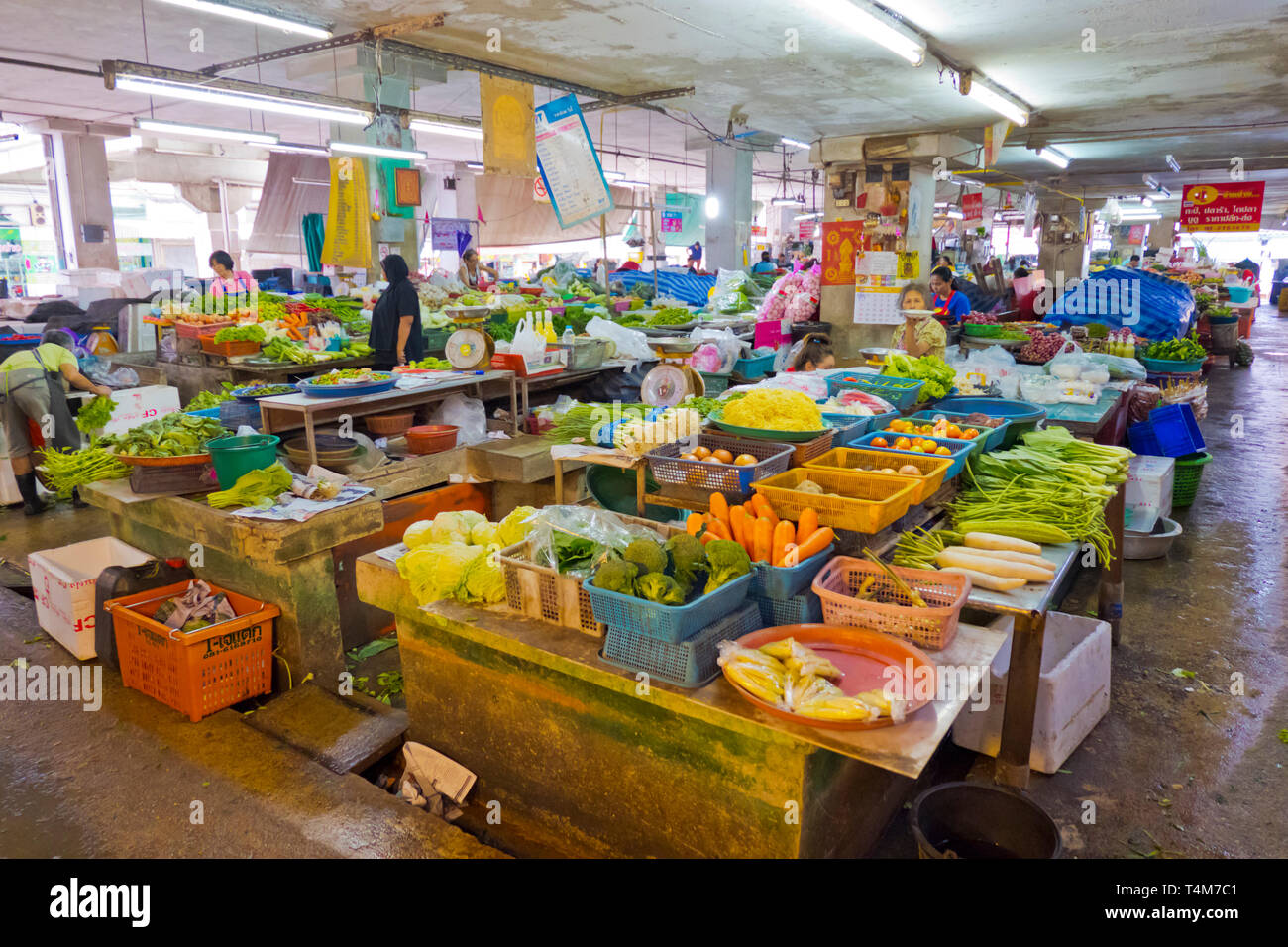 Légumes, marché du frais, halle, Surat Thani, Thaïlande Banque D'Images