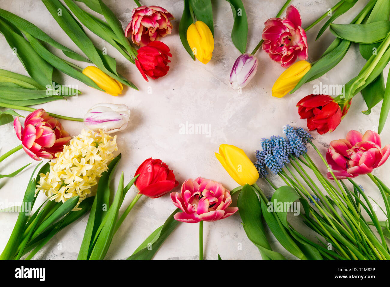 Carte D Anniversaire Avec Des Fleurs De Jacinthe Banque D Image Et Photos Alamy Carte D Anniversaire Avec Des Fleurs De Jacinthe Banque D Image Et Photos Alamy