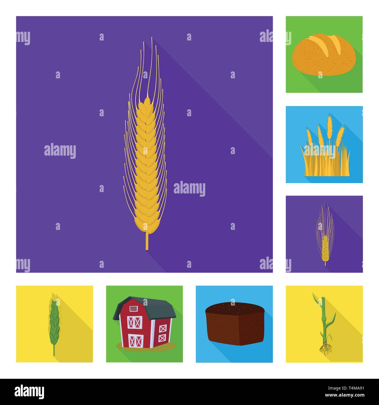 L'orge de printemps,pain,grenier,etuve,hiver,bâtiment,spike root,meadow,snack,venu,or,chalet,feuilles,farine,rural,vert,cuisson,immobilier,industrie,dur,brun,alimentation,terrain,automne,petit déjeuner,sols,blé,maïs,,céréales,récolte,ferme,terrain,agriculture,agriculture,seigle,set,plantes,vector icon,illustration,collection,isolé,design,graphisme,élément signe,télévision,ombre,vecteurs vecteur , Illustration de Vecteur