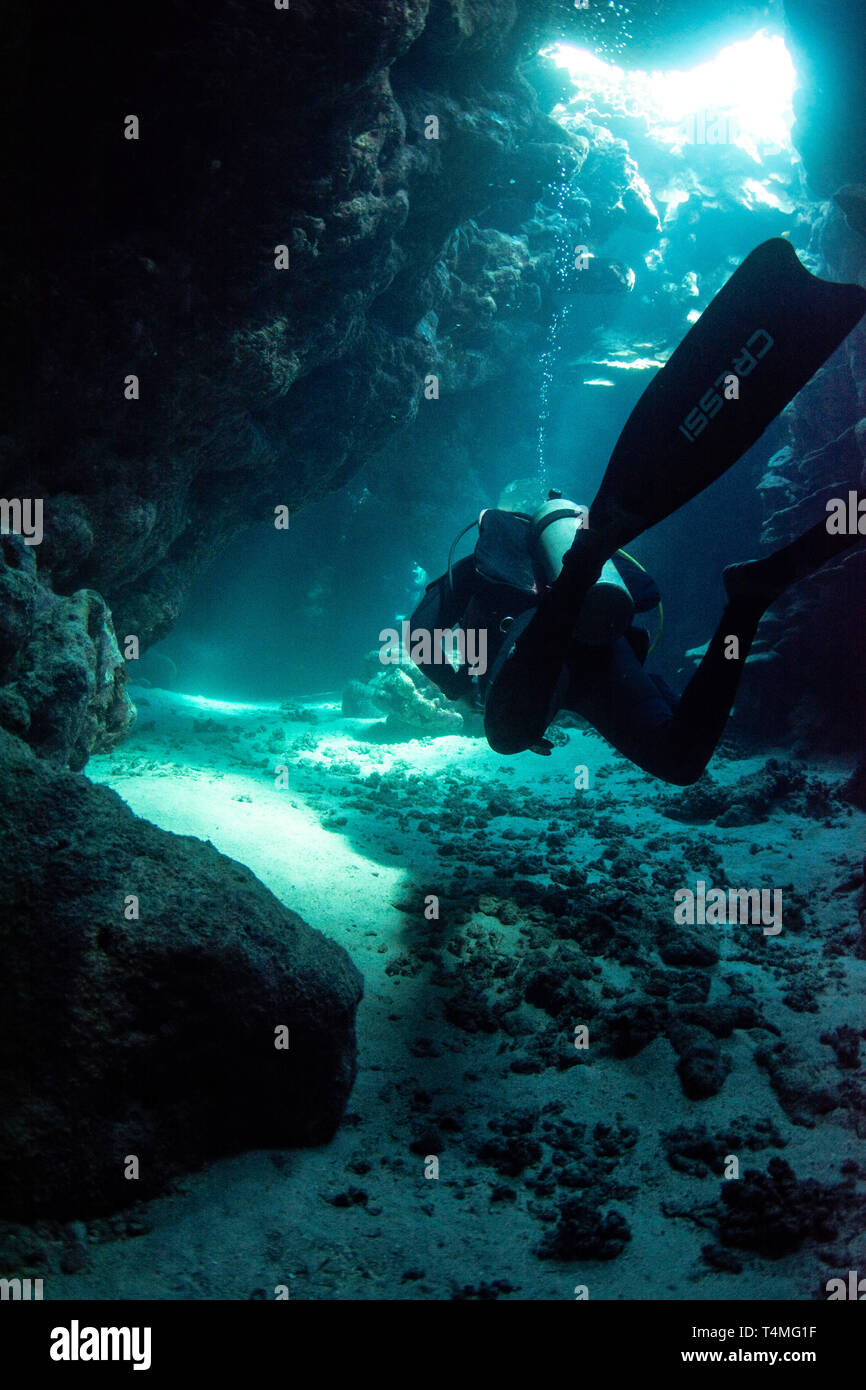 Photographie sous-marine d'un plongeur avec palmes Cressi nageant à travers une grotte dans la mer rouge, en Egypte. Banque D'Images