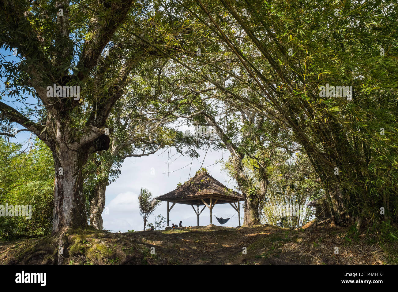L'île des lépreux sur Maroni river, Guyana, Guyane, France Banque D'Images