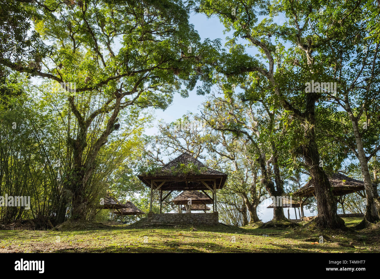 L'île des lépreux sur Maroni river, Guyana, Guyane, France Banque D'Images