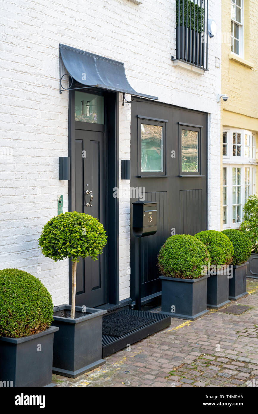 London House et buis taillés en couverture ronde les semoirs en Kynance Mews, South Kensington, SW7, Londres. L'Angleterre Banque D'Images