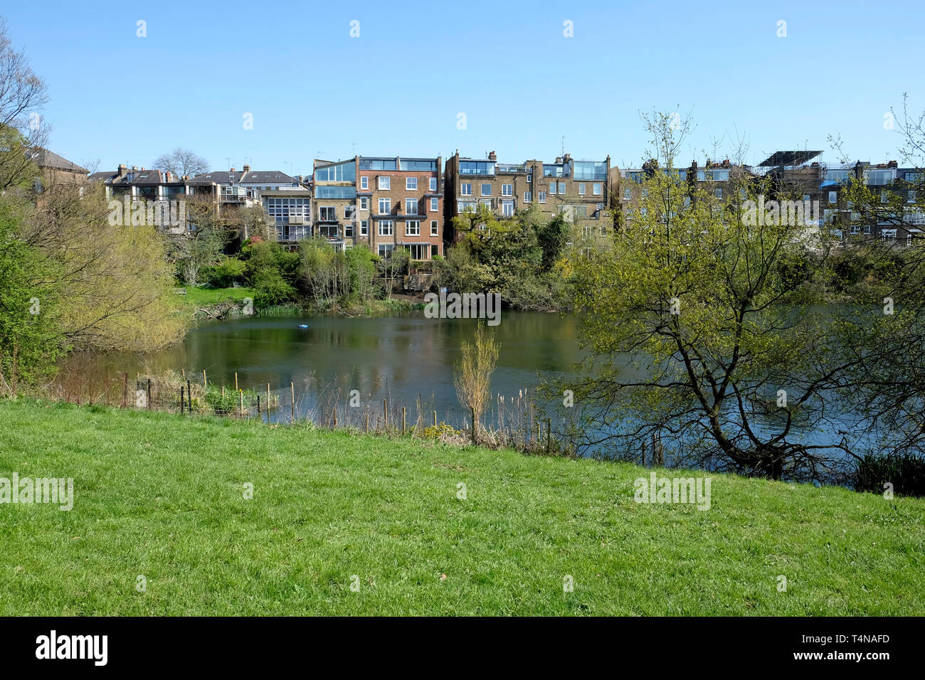 Une vue générale des bassins de Hampstead Heath Banque D'Images