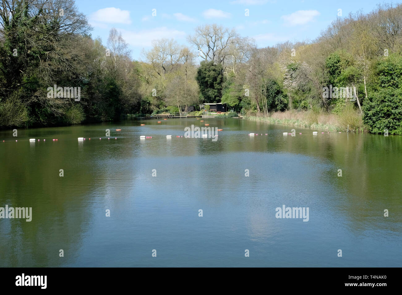 Une vue générale des bassins de Hampstead Heath Banque D'Images