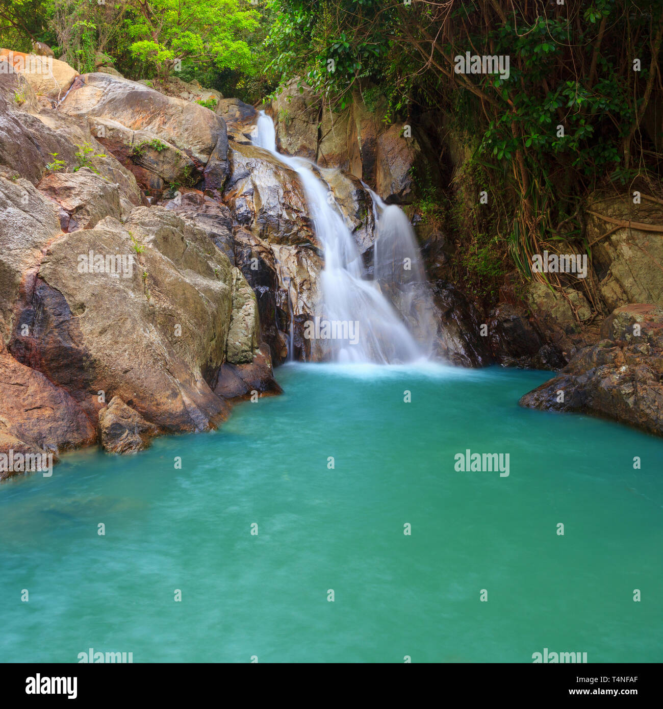 Piscine avec cascade dans la jungle tropicale, Na Muang, Koh Samui Banque D'Images
