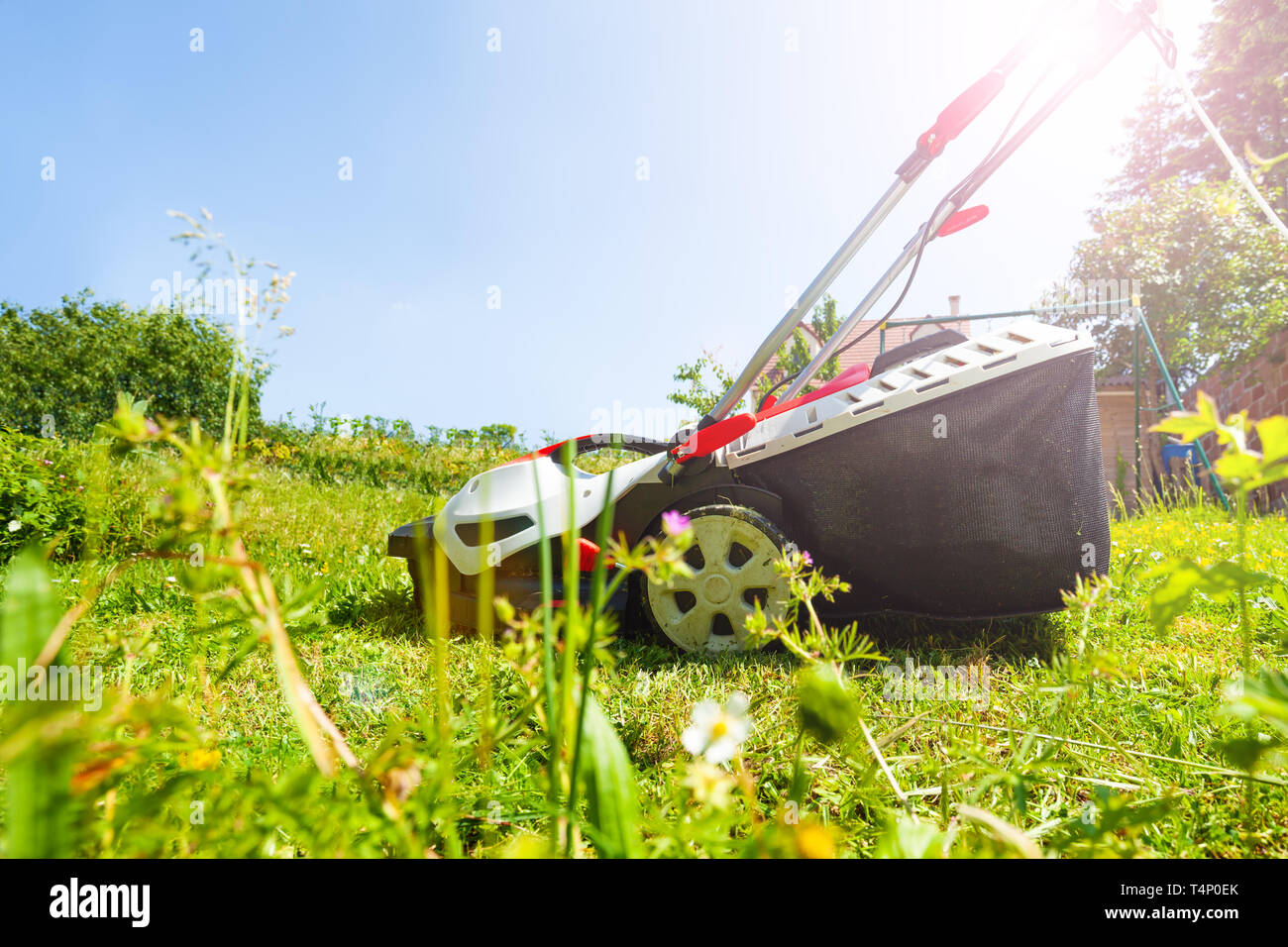 Vue latérale photo de tondeuse moderne avec de l'herbe fort debout sur la pelouse à la floraison du printemps ensoleillé Banque D'Images