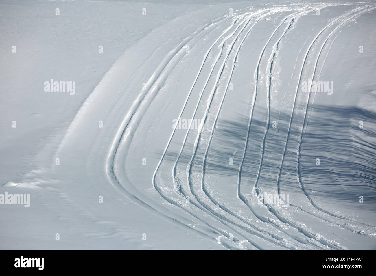 Les pistes de ski sur une pente d'hiver ensoleillé. L'ombre de l'arbre sur la piste. France, Savoie, Bessans Banque D'Images