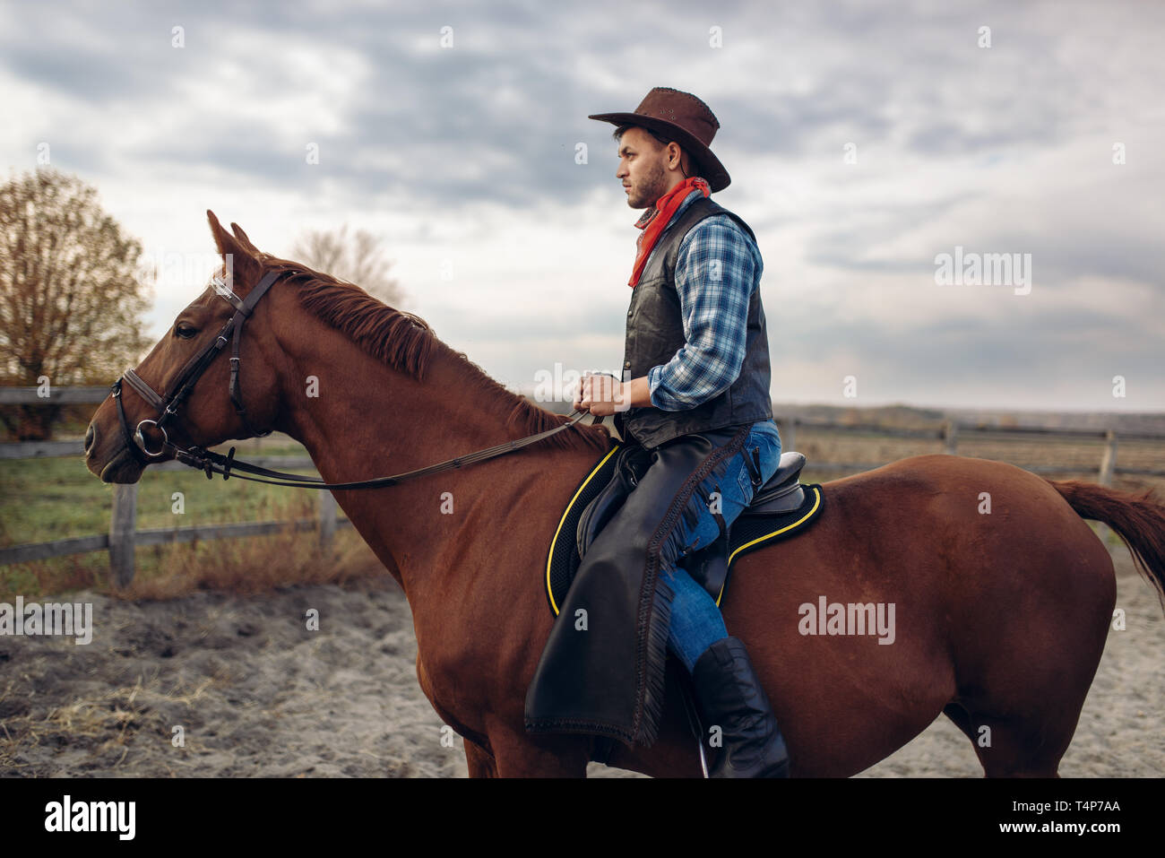 Cowboy dans les jeans et blouson de cuir à cheval sur le Texas, l'ouest de  la ferme. Vintage homme à cheval, la culture américaine Photo Stock - Alamy