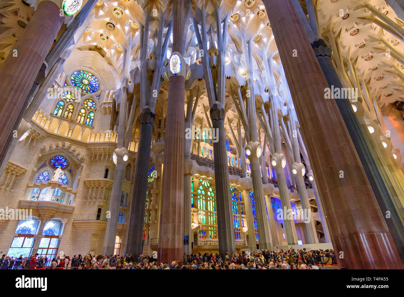 L'intérieur de la Sagrada Familia (église de la Sainte Famille), la cathédrale conçue par Gaudi à Barcelone, Espagne Banque D'Images