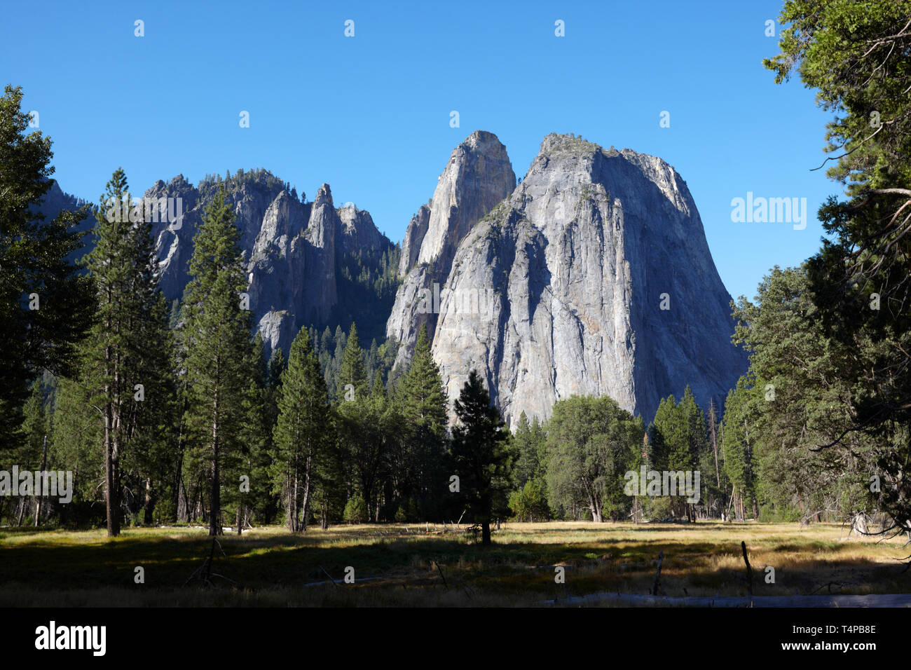 Les roches de la cathédrale, Yosemite National Park, Californie, l'Amérique. Banque D'Images