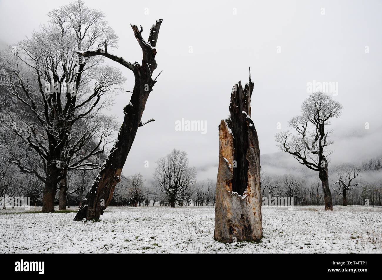 L'hiver, Ahornboden, FRA, Autriche, Europe Banque D'Images