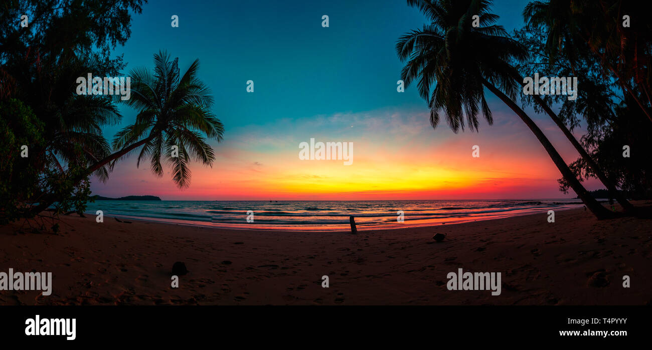 Belle scène de plage avec des palmiers et perfect blue l'eau de mer. Et détente vue paysage tropical exotique. Vacances d'été de luxe et maison de bann Banque D'Images