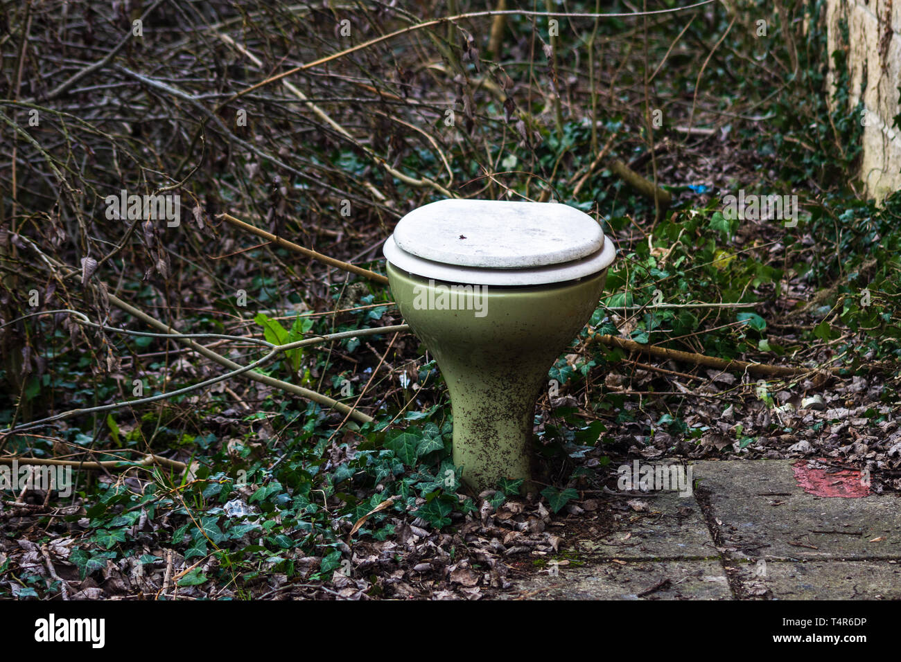 Un bol de toilette vert avocat abandonnés a été sous-évaluées de façon aléatoire à l'extérieur dans le sous-bois Banque D'Images
