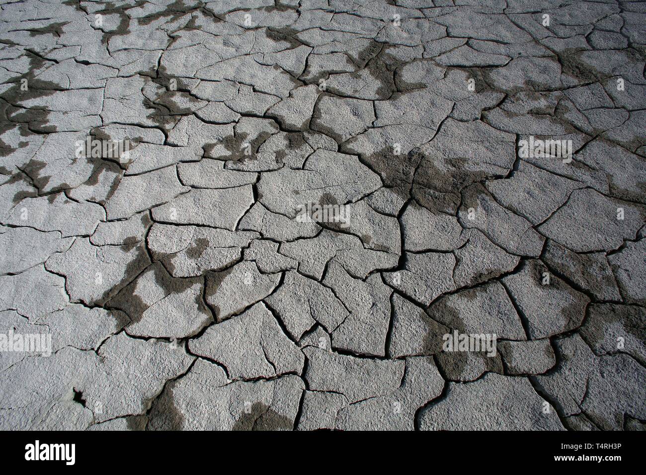 Bombay Beach, Californie, USA. 11Th Feb 2016. Les vasières fissuré à sec sur le rivage de la mer de Salton. La Salton Sea est une solution saline, peu profond, le lac du rift endoréique situé directement sur la faille de San Andreas, principalement dans le sud de la Californie et de l'empire des vallées Coachella. Le point le plus profond de la mer est de 5 pi (1,5 m) plus haut que le point le plus bas de la vallée de la mort. La dernière entrée d'eau du fleuve Colorado maintenant fortement contrôlée a été créé accidentellement par les ingénieurs de la Société de développement de la Californie en 1905. L'écoulement résultant submergé le canal d'ingénierie, et de la rivière Banque D'Images