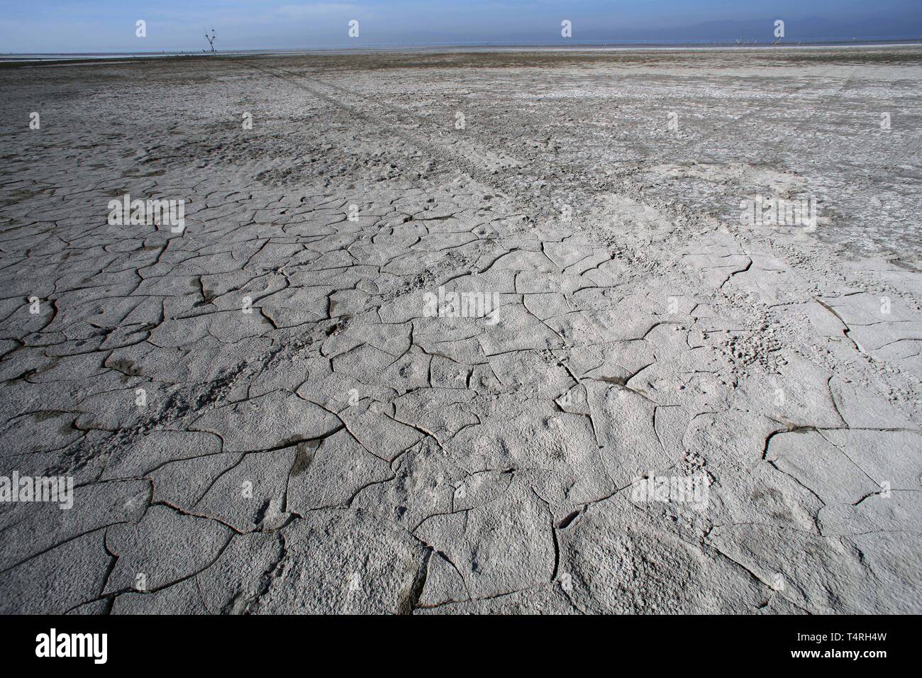 Bombay Beach, Californie, USA. 11Th Feb 2016. Les vasières fissuré à sec sur le rivage de la mer de Salton. La Salton Sea est une solution saline, peu profond, le lac du rift endoréique situé directement sur la faille de San Andreas, principalement dans le sud de la Californie et de l'empire des vallées Coachella. Le point le plus profond de la mer est de 5 pi (1,5 m) plus haut que le point le plus bas de la vallée de la mort. La dernière entrée d'eau du fleuve Colorado maintenant fortement contrôlée a été créé accidentellement par les ingénieurs de la Société de développement de la Californie en 1905. L'écoulement résultant submergé le canal d'ingénierie, et de la rivière Banque D'Images