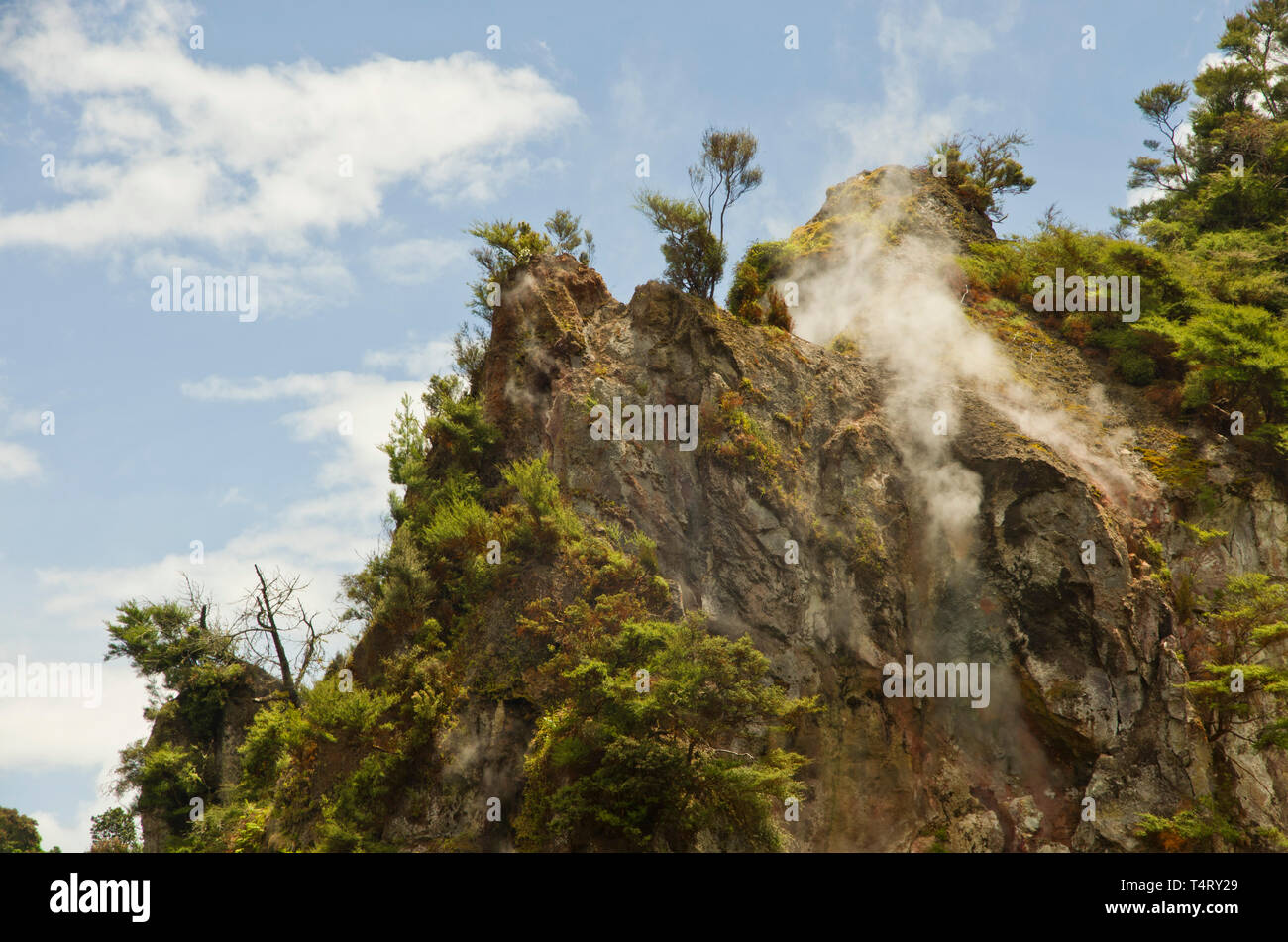 Poêle lake, Waimangu, Nouvelle-Zélande Banque D'Images