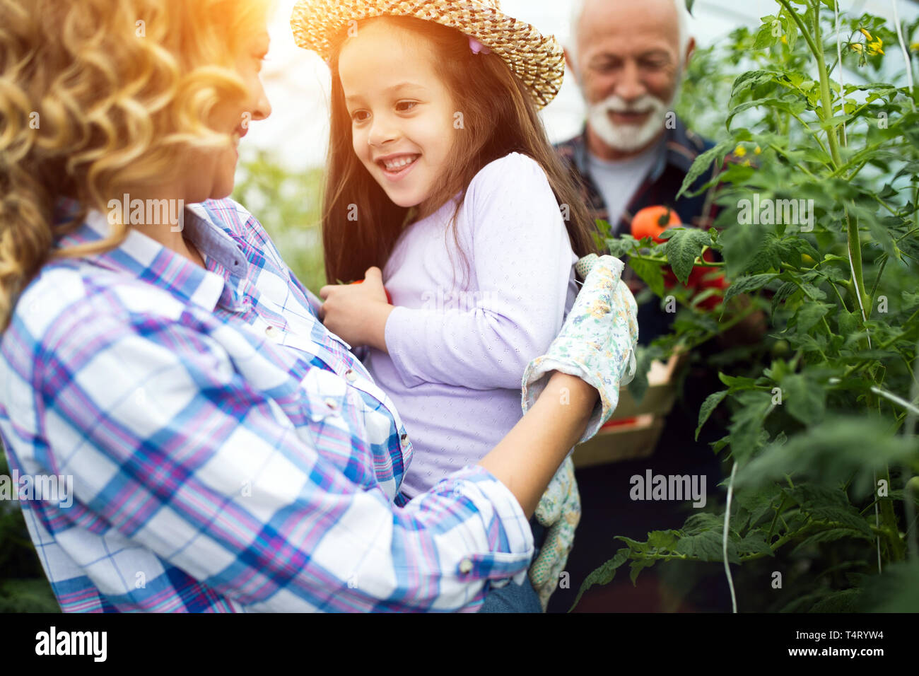 Légumes Biologiques de plus en plus grand-père avec ses petits-enfants et famille à la ferme Banque D'Images