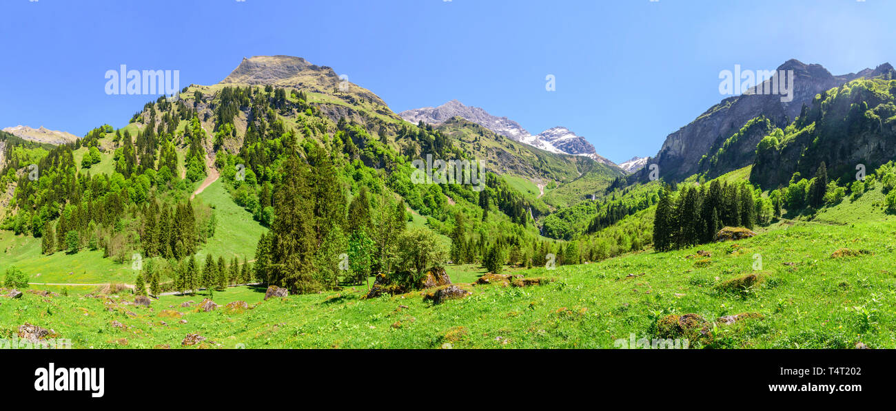 Belle nature alpine dans l'Allgäu dans le sud de l'Oytal Banque D'Images