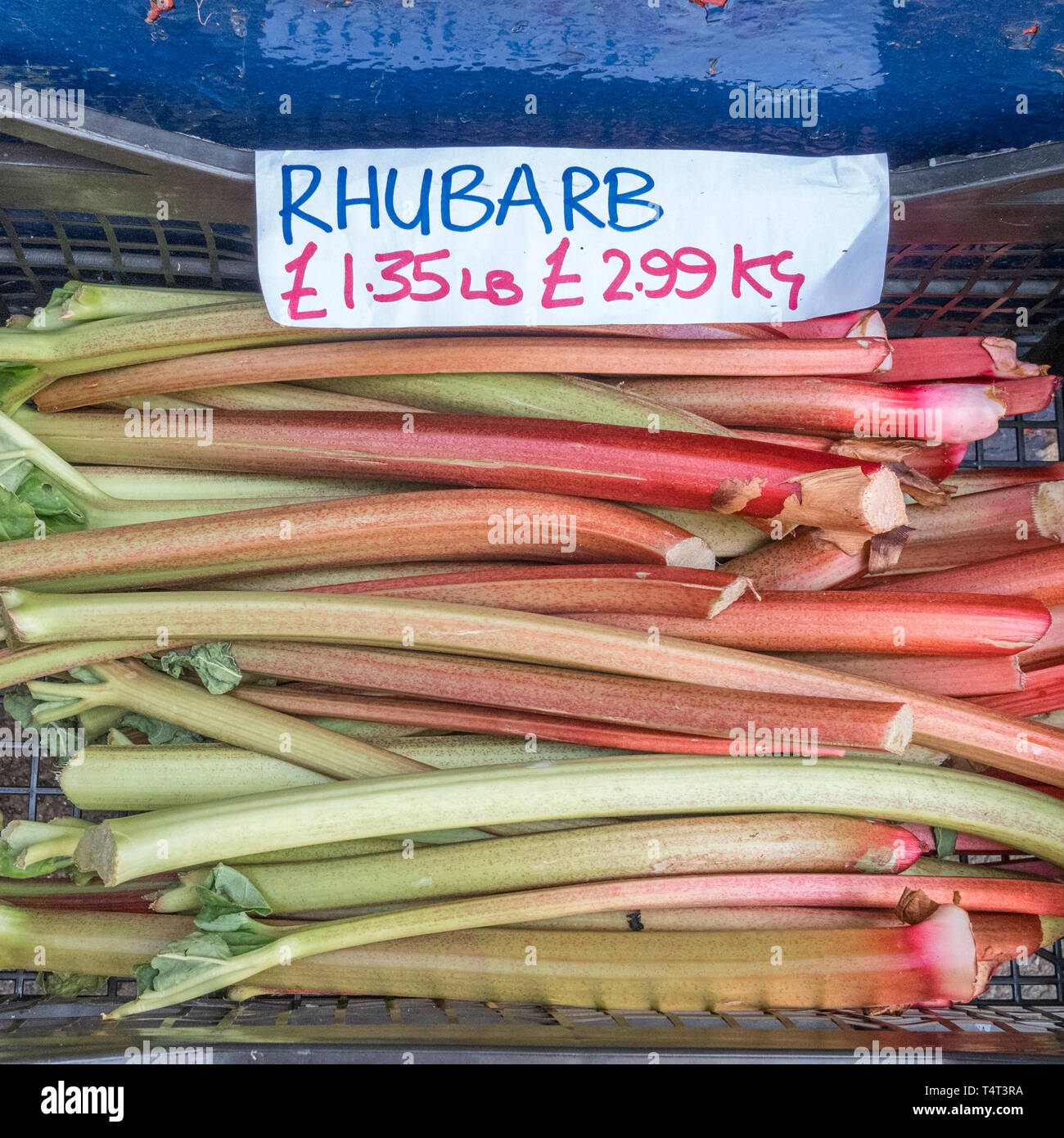 Bâtonnets de rhubarbe cultivés localement sur la vente à l'extérieur d'une boutique. Les prix des denrées alimentaires concept, 5 par jour métaphore. Banque D'Images