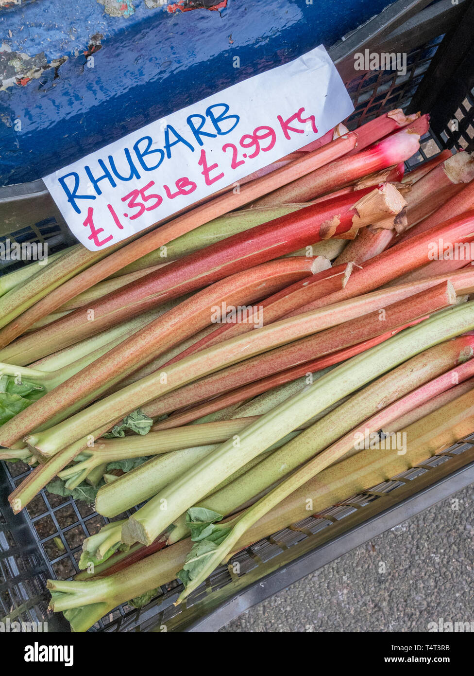 Bâtonnets de rhubarbe cultivés localement sur la vente à l'extérieur d'une boutique. Les prix des denrées alimentaires concept, 5 par jour métaphore. Banque D'Images