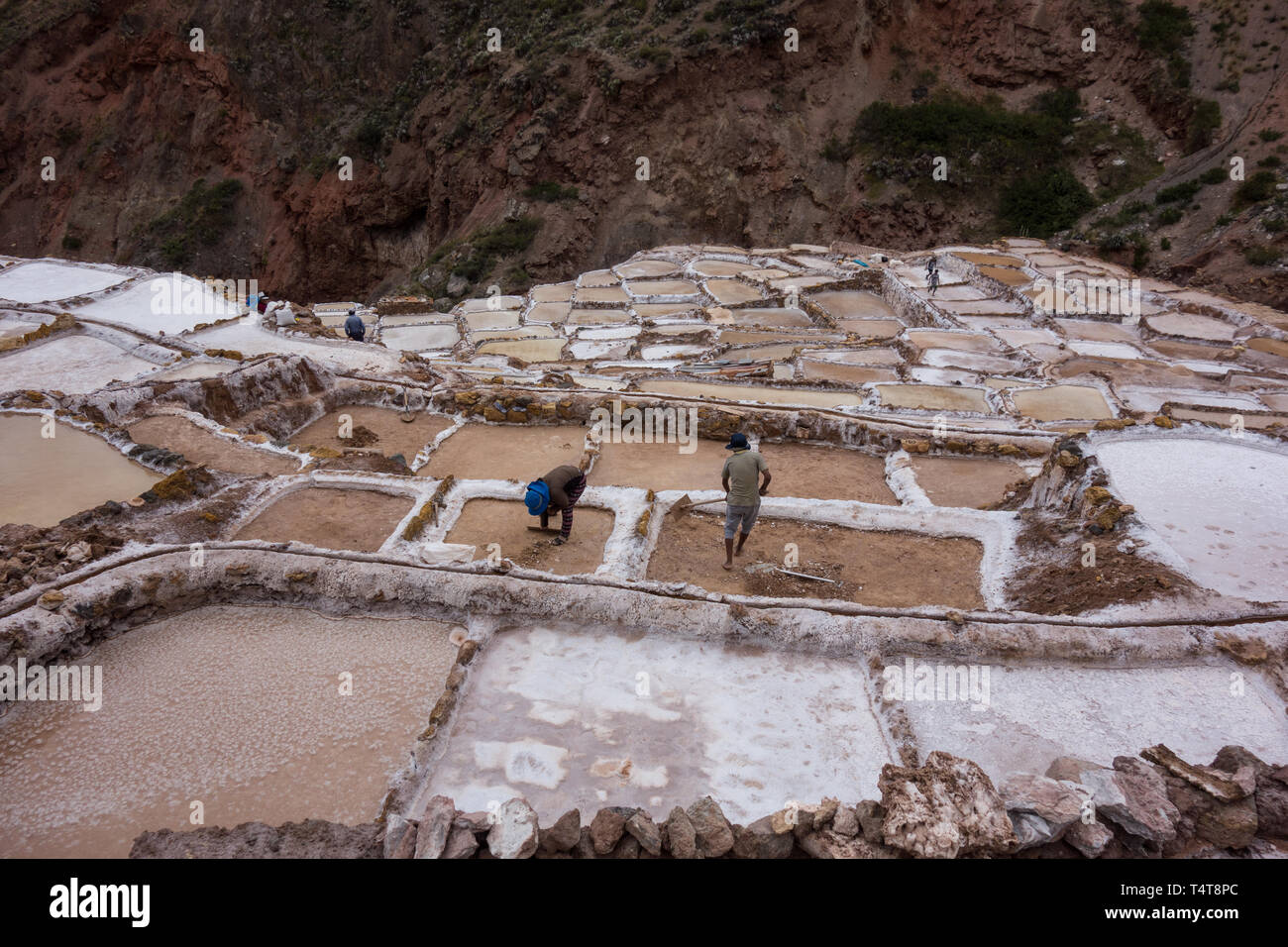 Les hommes travaillant dans les piscines de la Salinas de Maras, péruvienne traditionnel et célèbre mine de sel, près de Cusco Banque D'Images