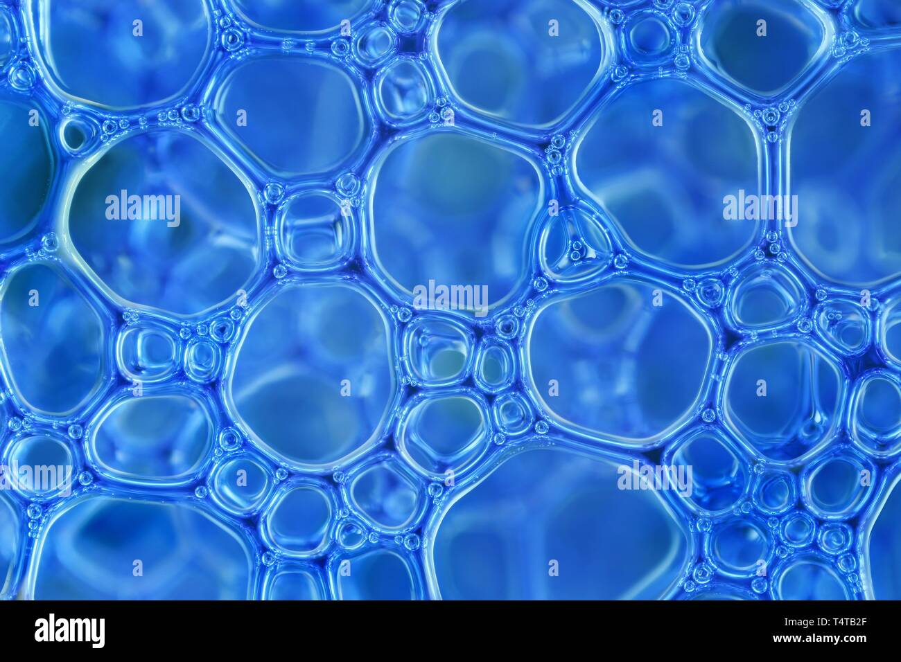 Mousse bleue bulles dans closeup Banque D'Images